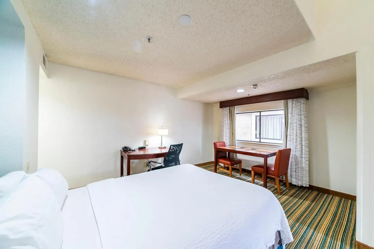 Apartment Metro Phoenix Loft Sleeps 6